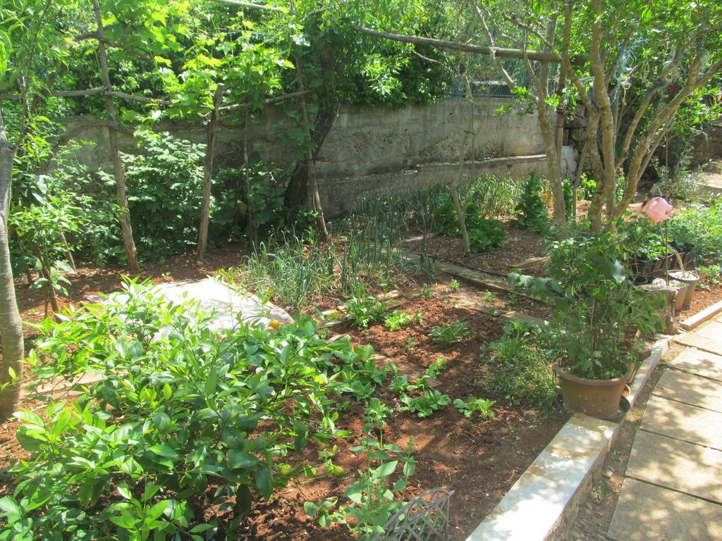 Apartment Artusi 普拉 客房 照片