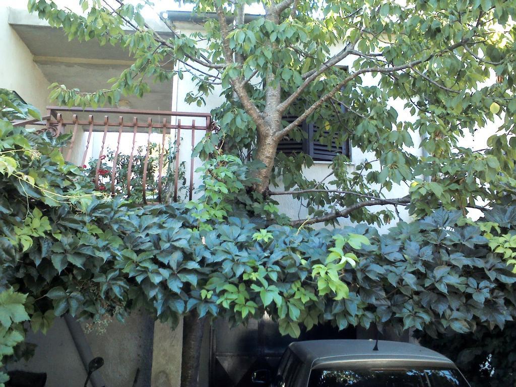 Apartment Artusi 普拉 客房 照片
